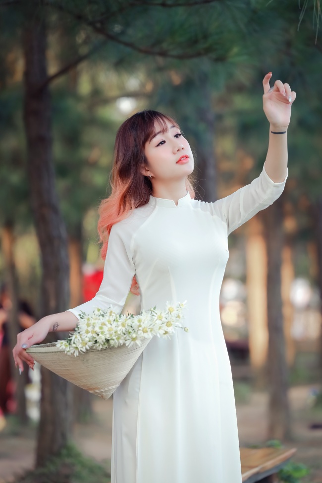 萝卜7